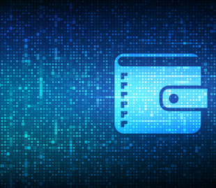 The rising popularity of digital wallets