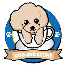 Dog and scone